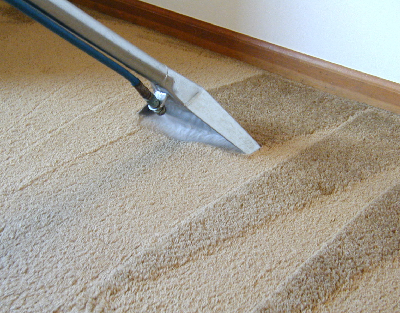 Farmington Hills Carpet Cleaning