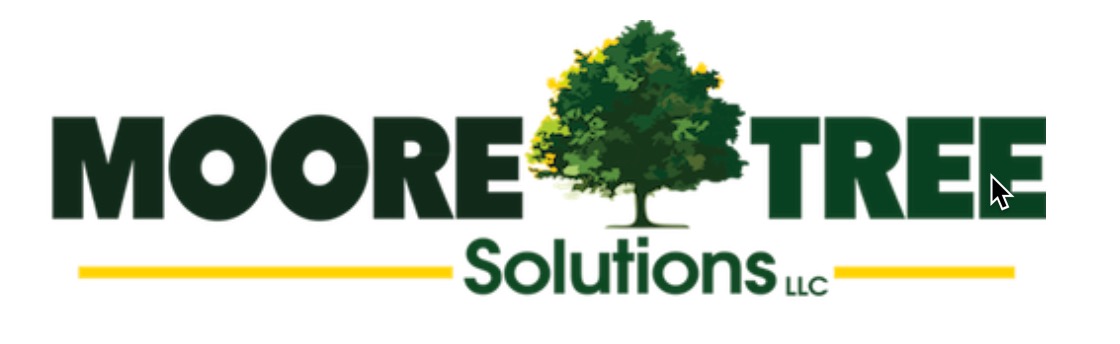 Moore Tree solutions