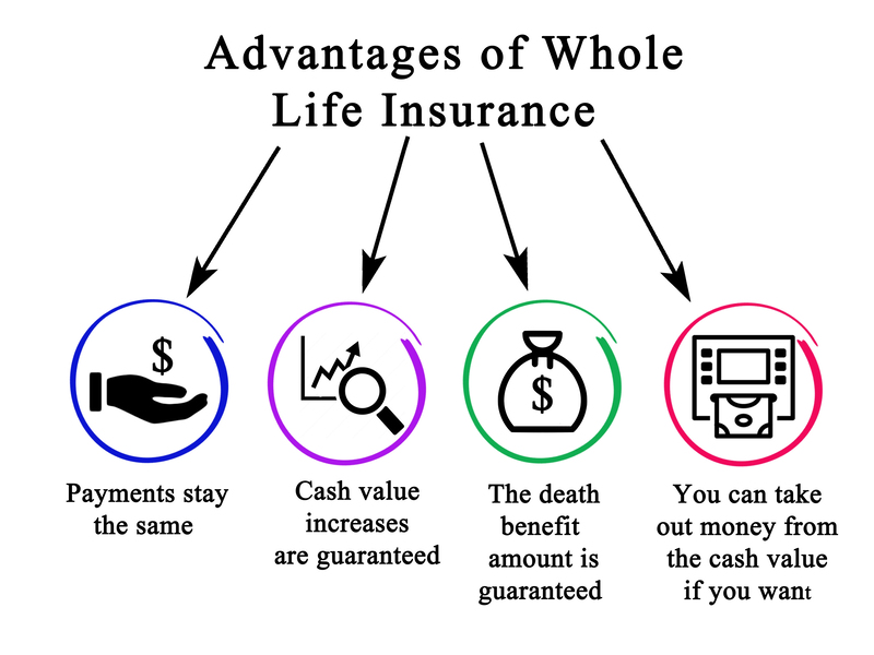 Stonecrest Life Insurance Experts
